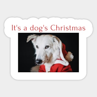 It's a Dog's Christmas Sticker